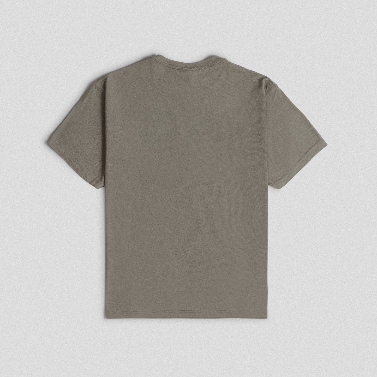 Olympia Distressed Basic Tee